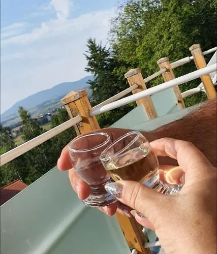 Appartement Stanisic *